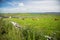 Irish country, landscape view, green grass covered field, stone fences and flowers with cows, next to the sea