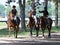 Irish Danzing and Stall Mates at Saratoga