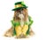 Irish Doggy