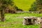 Irish dolmen in a meadow with green grass