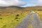 Irish farm road around bogs