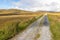 Irish farm road around bogs