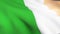 Irish Flag