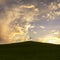 Irish landscape. Ireland. The lonely tree. Isolated tree on the top of a hill. Cloudscape