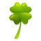 Irish lucky plant icon, cartoon style