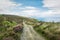 Irish Moorland Trail
