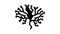 irish moss seaweed glyph icon animation