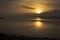 Irish sea, at Caernarfon Wales, at sunset.  Variety of birds feeding on the mud flats