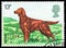 Irish Setter Canis lupus familiaris, Dogs - British Breeds serie, circa 1979