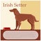 Irish setter colourful postcard