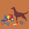 Irish setter with dog items. Pet care elements for grooming, walking and feeding.