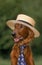 IRISH SETTER OR RED SETTER, DOG WEARING TIE AND STRAW HAT