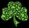 Irish Shamrock Clover 2 Celtic Vector