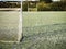 Irish sport training ground with tall goal posts for camogie, Gaelic football and rugby on a cold winter day. Frost on the green