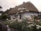 irish village cottage ,Adare Ireland