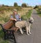 Irish Wolf Hound Sitting On Park Bench.