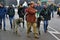 Irish wolfhound dogs and owners at Saint Patrick`s Day celebration in Moscow