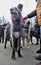 Irish wolfhound dogs at Saint Patrick`s Day celebration in Moscow