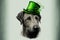 Irish Wolfhound in green hat. International celebration of the St. Patrick\\\'s Day.