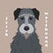 Irish wolfhound. Print with dog with background