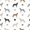 Irish wolfhound seamless pattern. Different poses, coat colors set