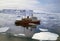 Irizar icebreaker saling across the antarctica, View of the bow of the ship and sea and ice to the horizon. Global warming is