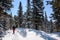 Irkutsk region, Russia, Slyudyanka - April 13, 2019: A person is hiking in the mountain and snow among the fir trees