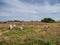 Iron age burial mounds on Hjarnoe island in Denmark