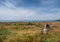 Iron age burial mounds on Hjarnoe island in Denmark