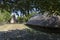 Iron age house at the Archeological park in Szazhalombatta, Hungary