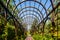 Iron arched greenhouse. Iron arch in a garden