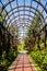 Iron arched greenhouse. Iron arch in a garden