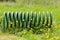 Iron bicycle rack in park