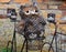 Iron bikes in front of an old brick wall with decorative owls placed in the bicycle baskets