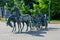 Iron, bronze horses with a carriage in the park