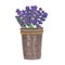 Iron bucket with flowers bouquet of lavender marker illustration