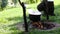 Iron cast cauldron boiling a stew over open log fire