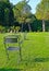 Iron chair and table in a beautiful green garden