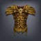 Iron fantasy chest armor for game or cards.