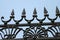 Iron fence