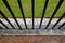 Iron fence, grass and pebbles