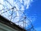 Iron fence gray. On top of wound barbed wire with spikes. Against a blue sky with clouds