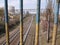 Iron fence painted in yellow and blue color with rust against the background of railway tracks.