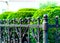 Iron forged fence, wrought iron ornaments,horizontal photo, space for copy,