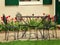 Iron Garden Table And Chairs