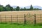 Iron Gate and fence, Muckross Grange, Ireland