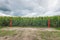 Iron gate in front of a field of fodder maize plants