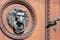 Iron Lion - doorknob on the wooden door