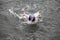 Iron man swimmer in cap and wetsuit breathing performing butterfly stroke