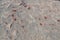 Iron Marble Rock Background